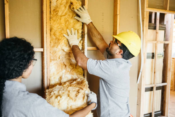 Best Insulation Removal  in Dothan, AL