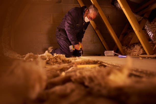 Professional Insulation Contractor in Dothan, AL